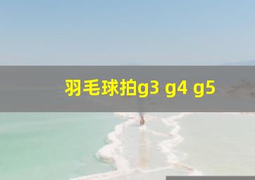 羽毛球拍g3 g4 g5